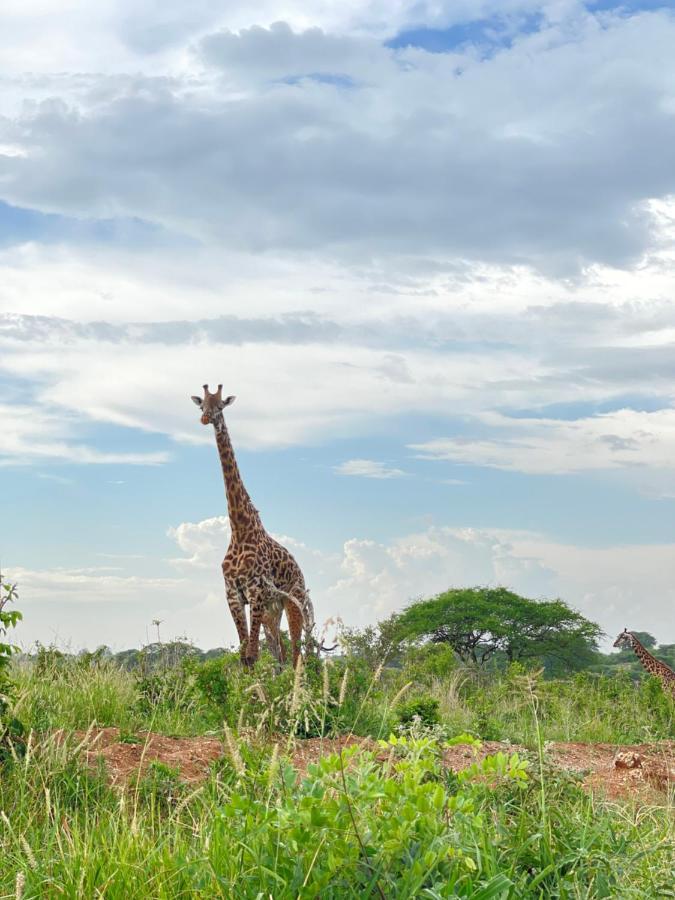 Tiny House With Amazing View Appartement Arusha Buitenkant foto